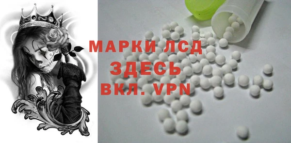 твердый Магас