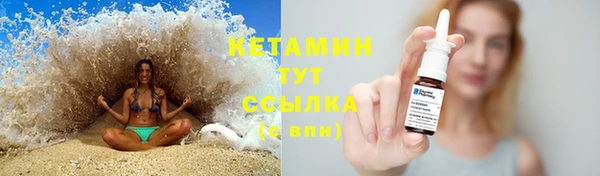 твердый Магас