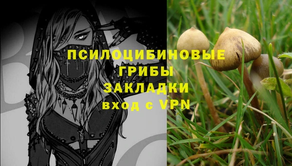 дурь Артём