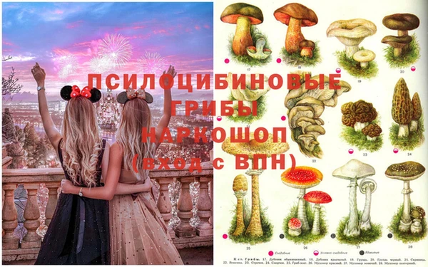 кокс Алагир