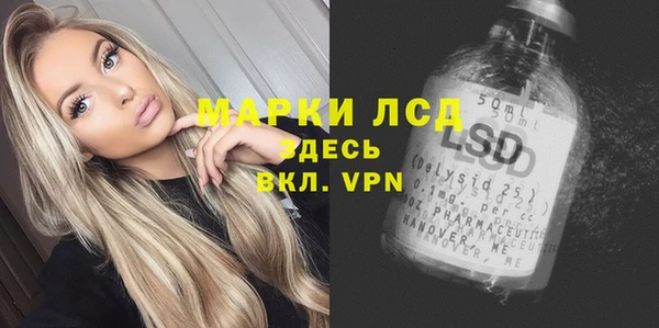 твердый Магас
