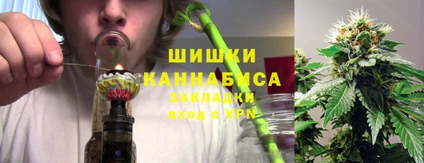 твердый Магас
