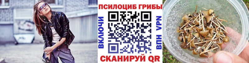 Псилоцибиновые грибы прущие грибы  купить наркотик  Фокино 